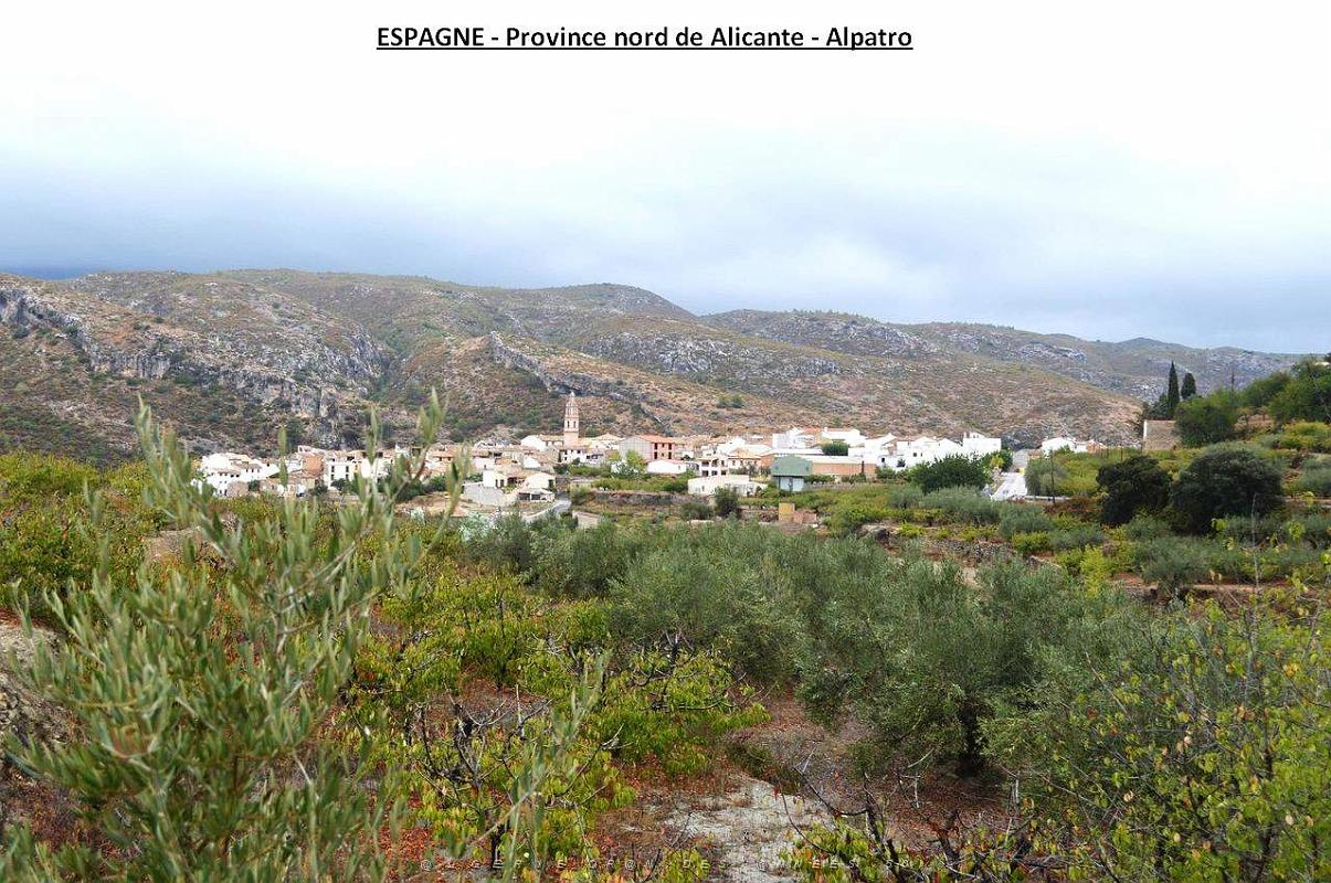080- Alpatro.JPG